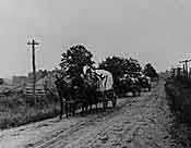 taking tobacco to the Mayfield market (photo courtesy Kentucky Historical Society)